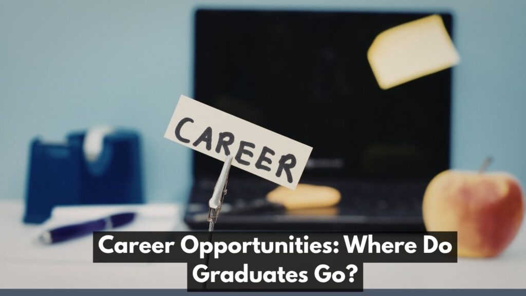 Career Opportunities: Where Do Graduates Go?