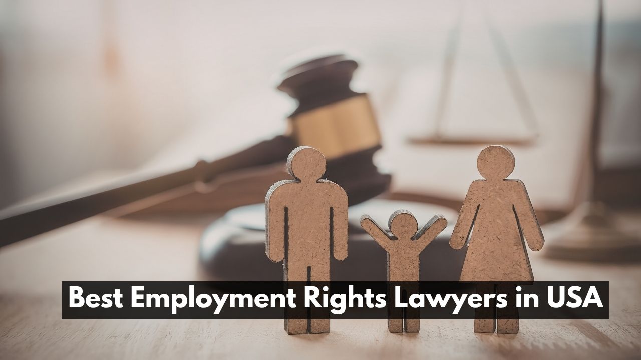 Best Employment Rights Lawyers in USA