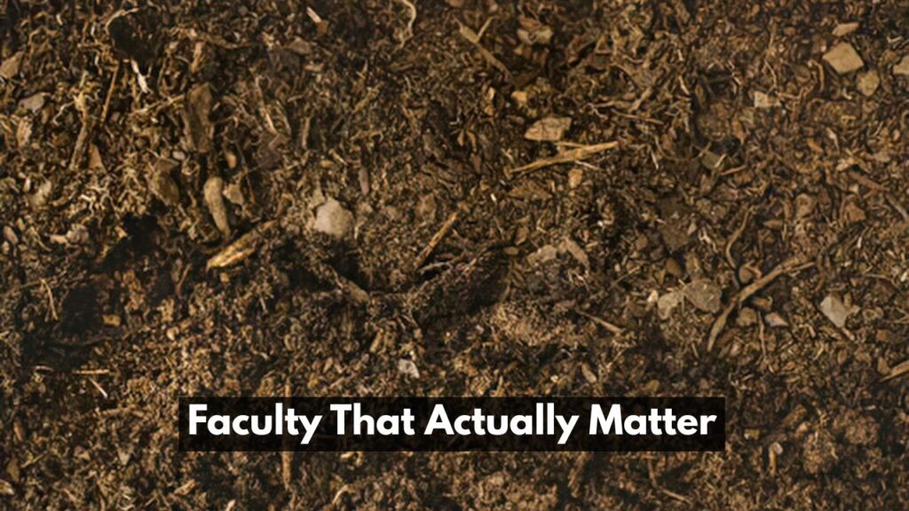 Faculty That Actually Matter