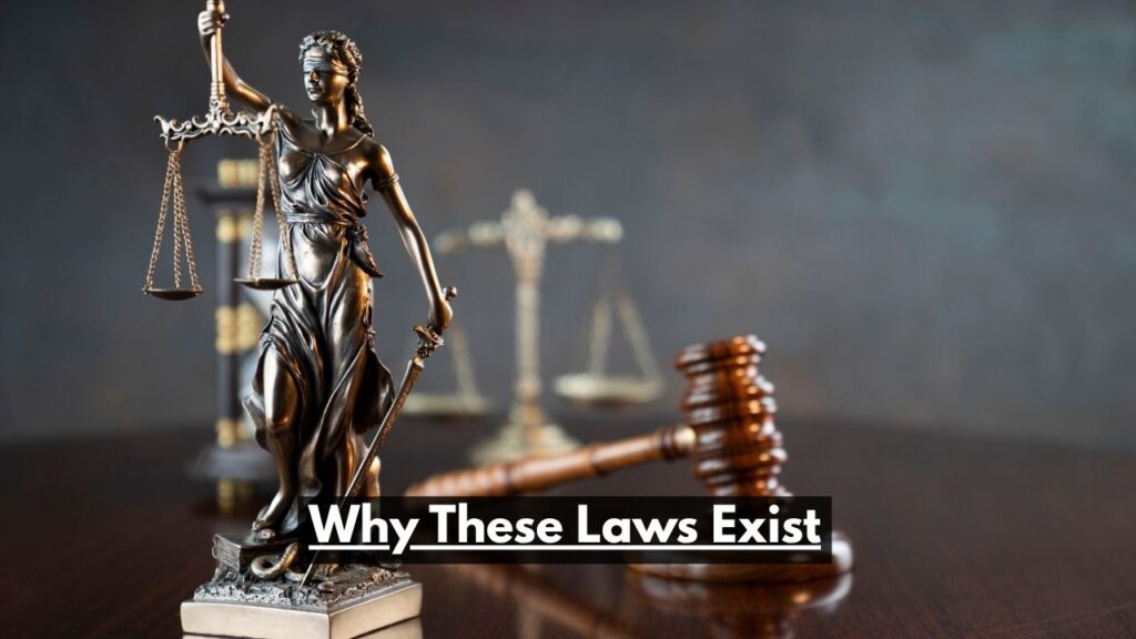 Why These Laws Exist