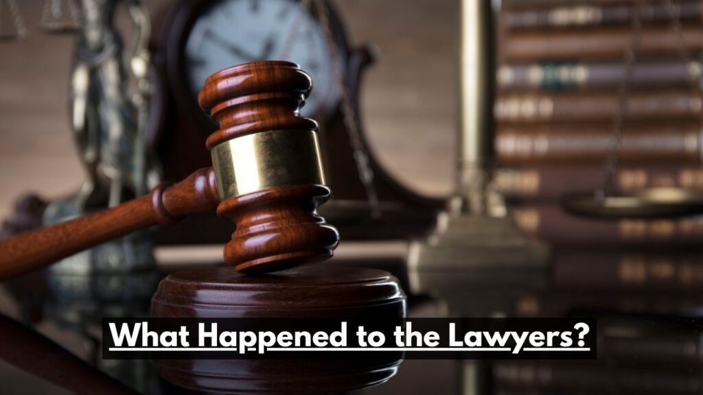 What Happened to the Lawyers?