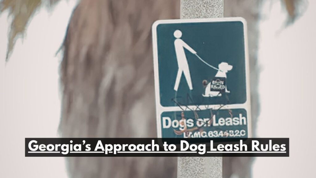 Georgia’s Approach to Dog Leash Rules