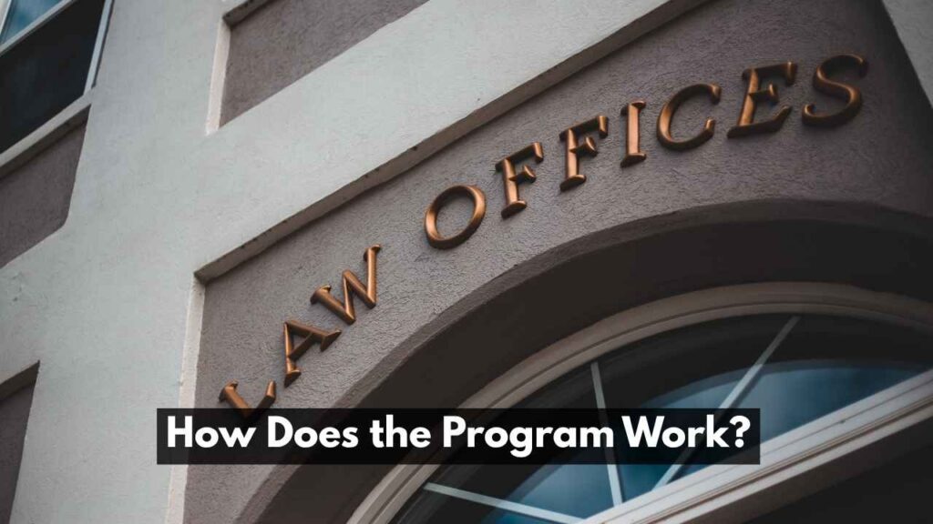 How Does the Program Work?