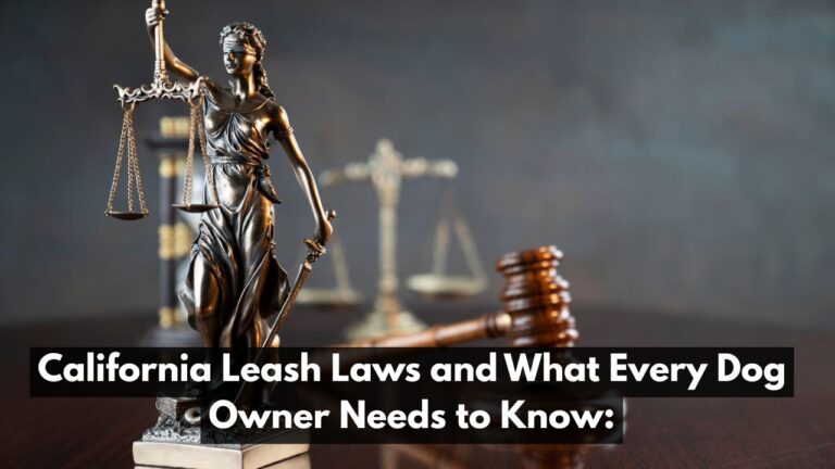 California Leash Laws and What Every Dog Owner Needs to Know: